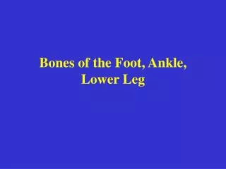 Bones of the Foot, Ankle, Lower Leg
