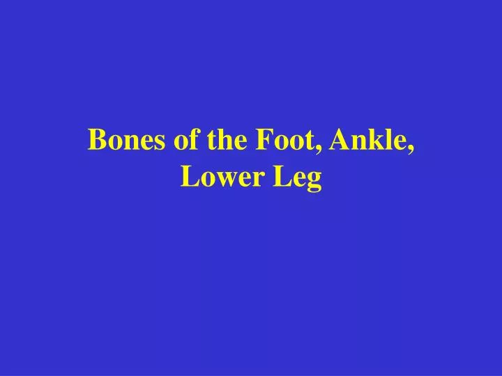 bones of the foot ankle lower leg