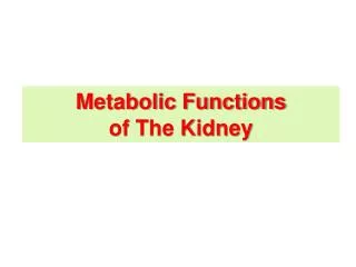 Metabolic Functions of The Kidney