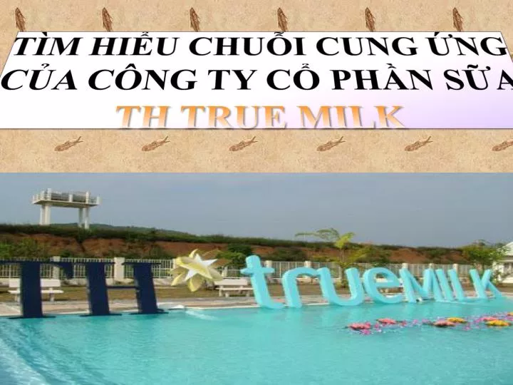 t m hi u chu i cung ng c a c ng ty c ph n s a th true milk