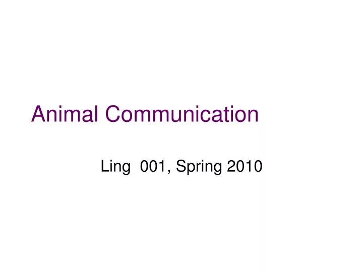 animal communication