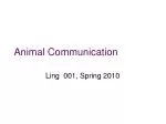 Animal Communication - slide 1