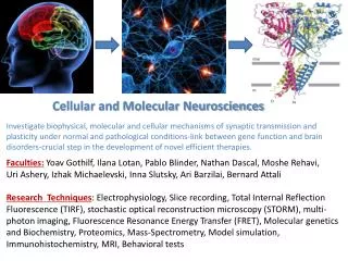 Cellular and Molecular Neurosciences