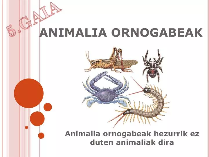 animalia ornogabeak