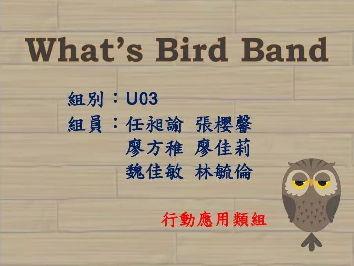 what s bird band