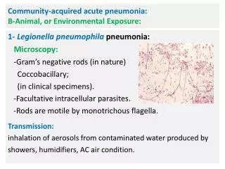 Community-acquired acute pneumonia: B-Animal , or Environmental Exposure:
