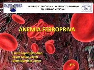 anemia ferropriva