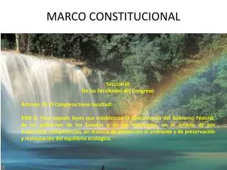 marco constitucional