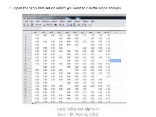 1. Open the SPSS data set on which you want to run the alpha analysis