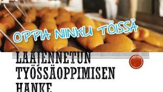 laajennetun ty ss oppimisen hanke