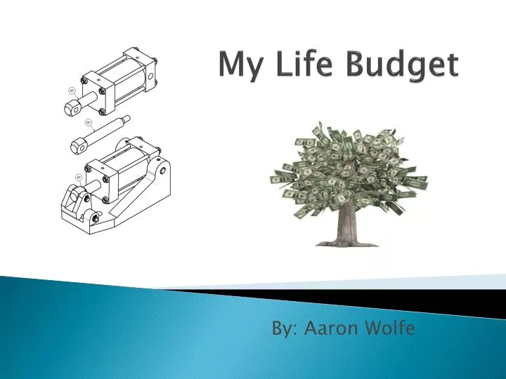 my life budget