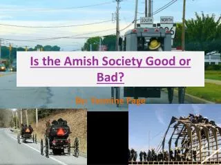 Is the Amish Society Good or Bad?
