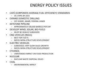 ENERGY POLICY ISSUES