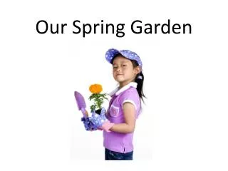 Our Spring Garden