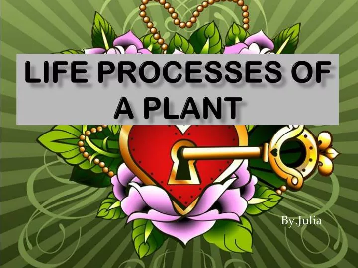life processes of a plant