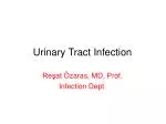 PPT - Urinary Tract Infection PowerPoint Presentation, Free Download ...