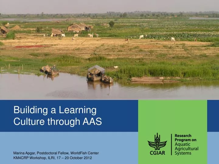 building a learning culture through aas