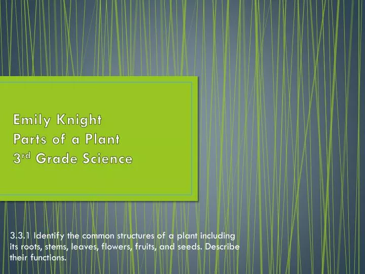 emily knight parts of a plant 3 rd grade science