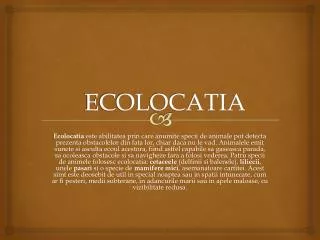 ecolocatia