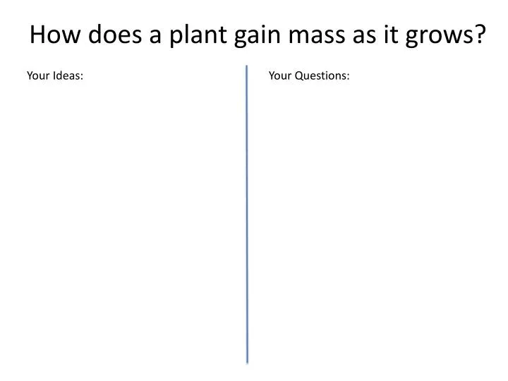 how does a plant gain mass as it grows