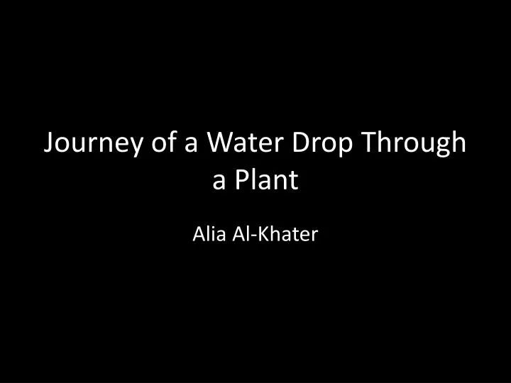 journey of a water drop through a plant