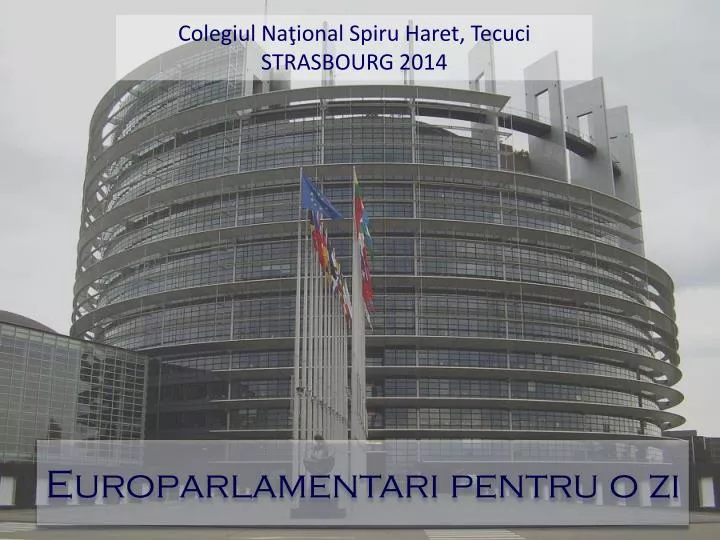 europarlamentari pentru o zi