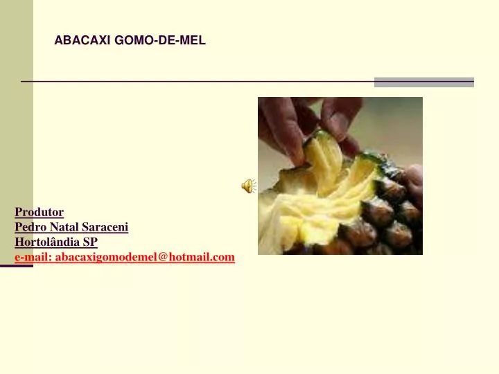 produtor pedro natal saraceni hortol ndia sp e mail abacaxigomodemel@hotmail com