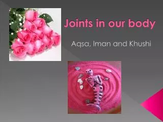 joints in our body