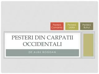 pesteri din carpatii occidentali