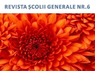 revista colii generale nr 6
