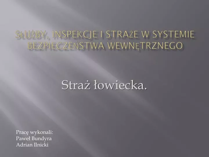 s u by inspekcje i stra e w systemie bezpiecze stwa wewn trznego