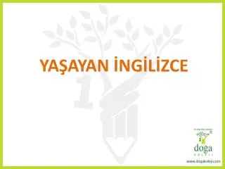 ya ayan ng l zce