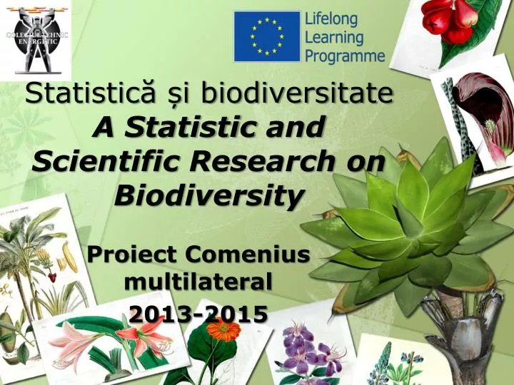 statistic i biodiversitate a statistic and scientific research on biodiversity