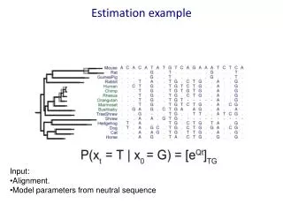 Estimation example