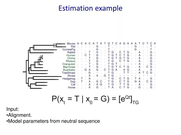 estimation example