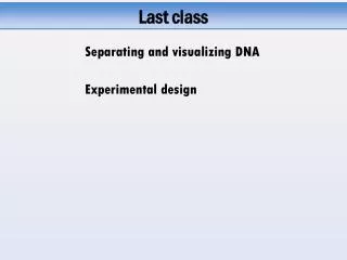 Separating and visualizing DNA
