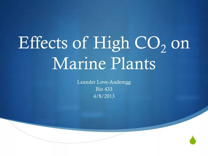 effects of high co 2 on marine plants