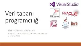 veri taban programc l