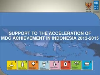 SUPPORT TO THE ACCELERATION OF MDG ACHIEVEMENT IN INDONESIA 2013-2015