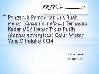 fada faizah 0910713010