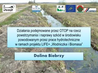 dolina biebrzy
