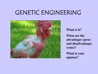 GENETIC ENGINEERING