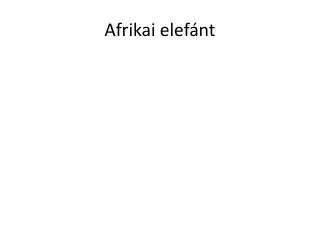 afrikai elef nt