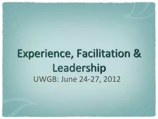 Experience, Facilitation &amp; Leadership