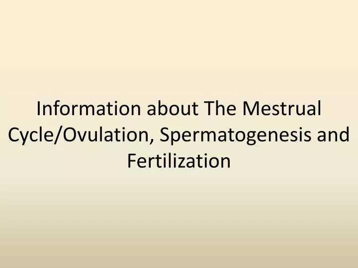 information about the mestrual cycle ovulation spermatogenesis and fertilization