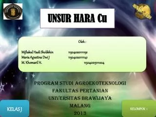 unsur hara cu