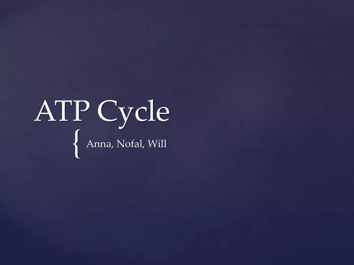 atp cycle