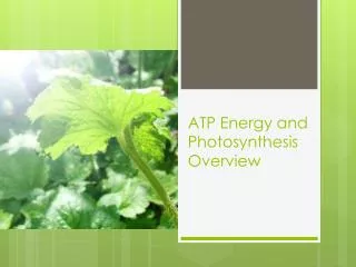 ATP Energy and Photosynthesis Overview