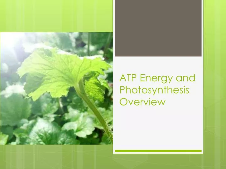 atp energy and photosynthesis overview