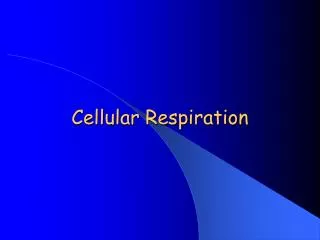 Cellular Respiration